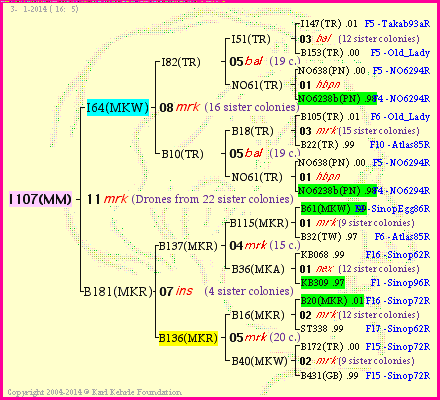 Pedigree of I107(MM) :
four generations presented