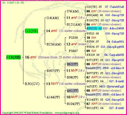 Pedigree of I13(JtB) :
four generations presented