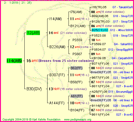 Pedigree of I14(JtB) :
four generations presented<br />it's temporarily unavailable, sorry!