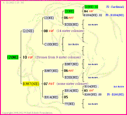 Pedigree of I2(NE) :
four generations presented