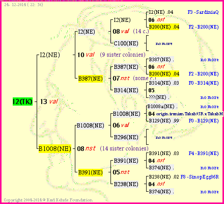 Pedigree of I2(TK) :
four generations presented