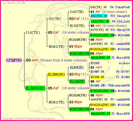 Pedigree of I25(FIV) :
four generations presented