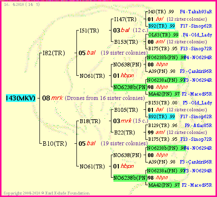 Pedigree of I43(MKV) :
four generations presented