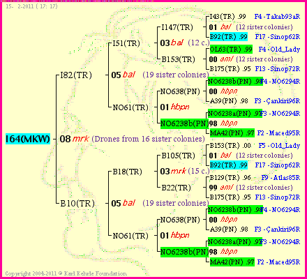 Pedigree of I64(MKW) :
four generations presented