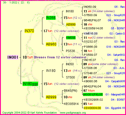 Pedigree of IN001 :
four generations presented
it's temporarily unavailable, sorry!