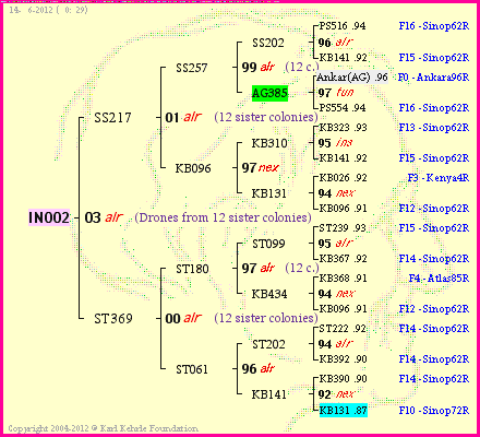 Pedigree of IN002 :
four generations presented