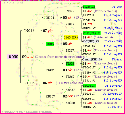 Pedigree of IN050 :
four generations presented