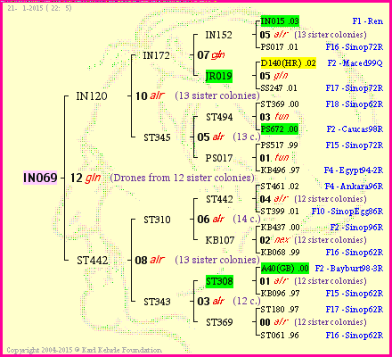 Pedigree of IN069 :
four generations presented