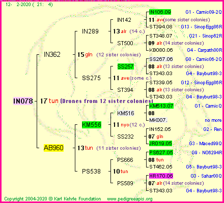 Pedigree of IN078 :
four generations presented<br />it's temporarily unavailable, sorry!