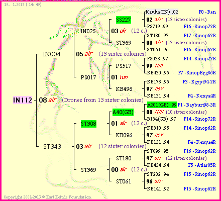 Pedigree of IN112 :
four generations presented