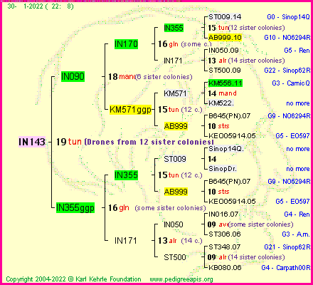 Pedigree of IN143 :
four generations presented
it's temporarily unavailable, sorry!