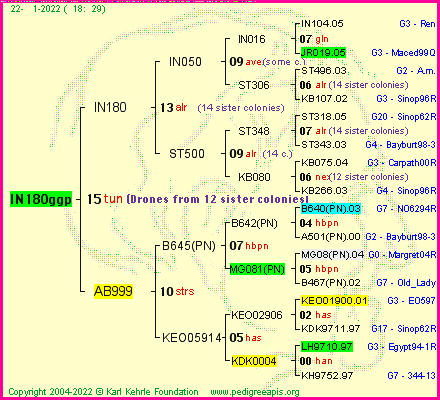 Pedigree of IN180ggp :
four generations presented
it's temporarily unavailable, sorry!