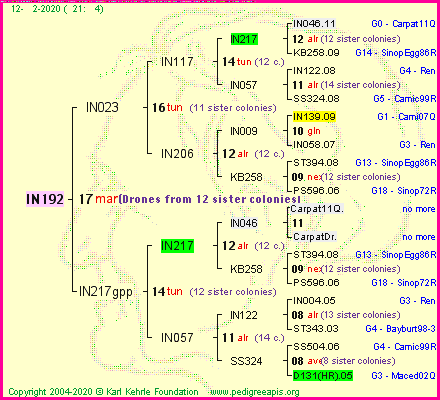 Pedigree of IN192 :
four generations presented<br />it's temporarily unavailable, sorry!