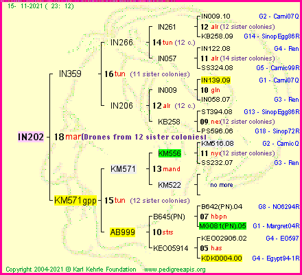 Pedigree of IN202 :
four generations presented
it's temporarily unavailable, sorry!