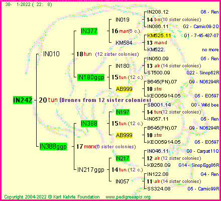 Pedigree of IN242 :
four generations presented
it's temporarily unavailable, sorry!