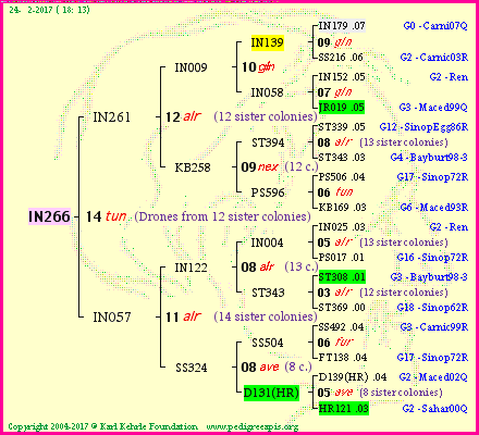 Pedigree of IN266 :
four generations presented