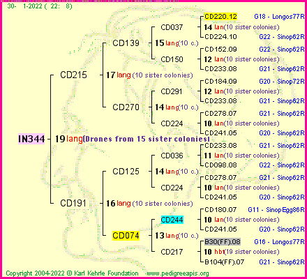 Pedigree of IN344 :
four generations presented
it's temporarily unavailable, sorry!