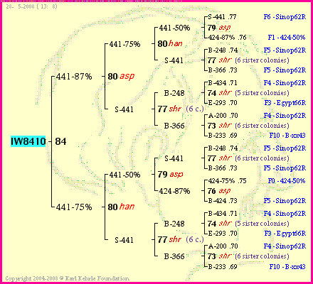 Pedigree of IW8410 :
four generations presented