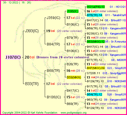 Pedigree of J107(IC) :
four generations presented
it's temporarily unavailable, sorry!