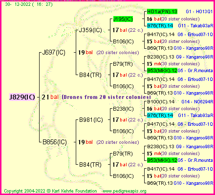 Pedigree of J829(IC) :
four generations presented
it's temporarily unavailable, sorry!