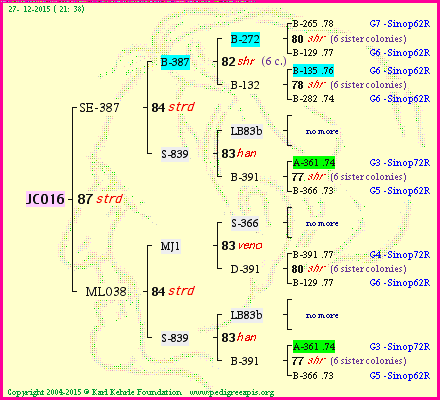 Pedigree of JC016 :
four generations presented