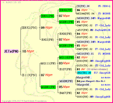 Pedigree of JE7a(PN) :
four generations presented