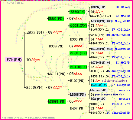 Pedigree of JE7b(PN) :
four generations presented