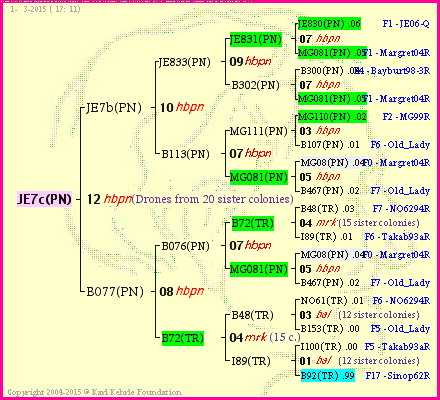 Pedigree of JE7c(PN) :
four generations presented