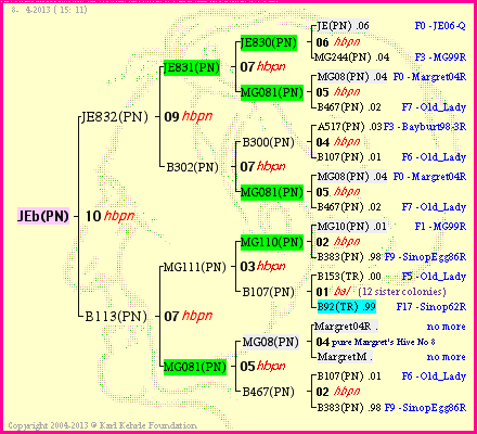 Pedigree of JEb(PN) :
four generations presented