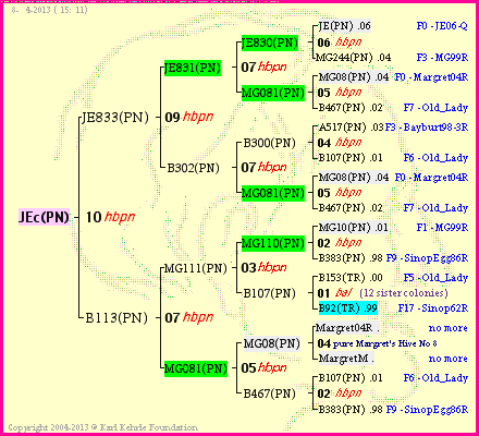 Pedigree of JEc(PN) :
four generations presented