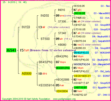 Pedigree of JG541 :
four generations presented<br />it's temporarily unavailable, sorry!