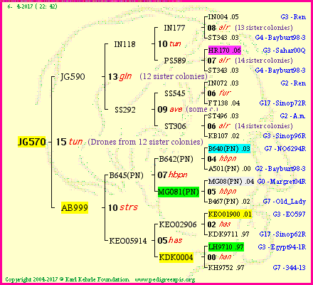 Pedigree of JG570 :
four generations presented<br />it's temporarily unavailable, sorry!