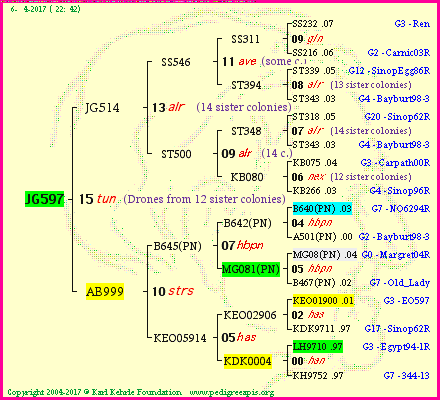 Pedigree of JG597 :
four generations presented<br />it's temporarily unavailable, sorry!