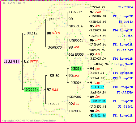 Pedigree of JJ02411 :
four generations presented