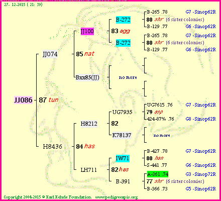 Pedigree of JJ086 :
four generations presented