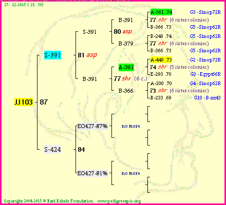 Pedigree of JJ103 :
four generations presented