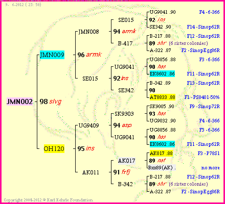 Pedigree of JMN002 :
four generations presented