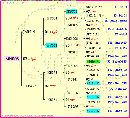 Pedigree of JMN003 :
four generations presented