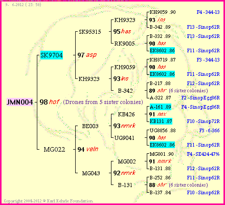 Pedigree of JMN004 :
four generations presented