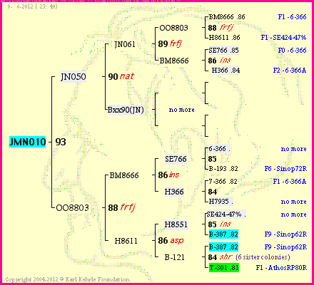 Pedigree of JMN010 :
four generations presented