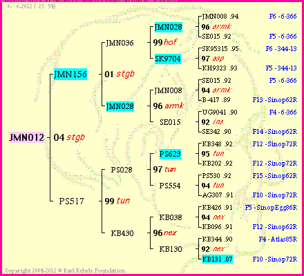 Pedigree of JMN012 :
four generations presented