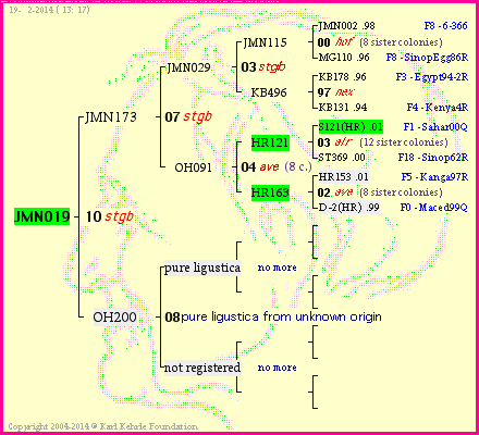 Pedigree of JMN019 :
four generations presented