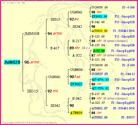 Pedigree of JMN028 :
four generations presented