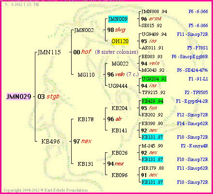 Pedigree of JMN029 :
four generations presented