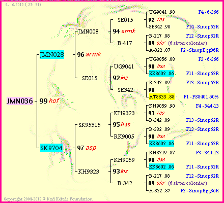 Pedigree of JMN036 :
four generations presented