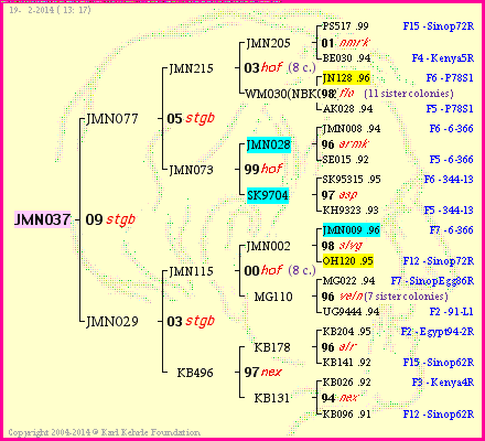 Pedigree of JMN037 :
four generations presented