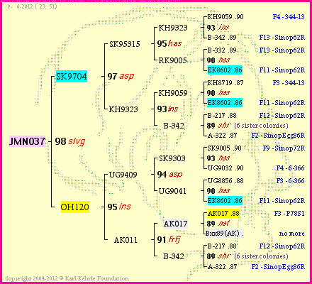 Pedigree of JMN037 :
four generations presented