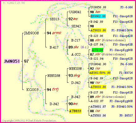 Pedigree of JMN051 :
four generations presented