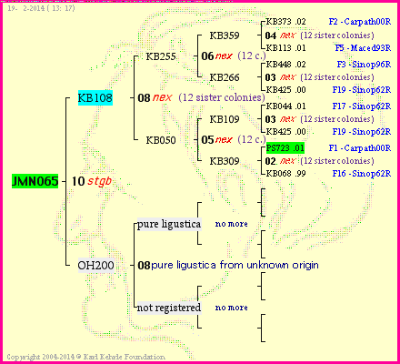 Pedigree of JMN065 :
four generations presented