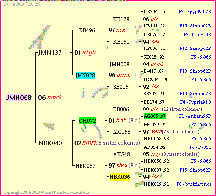 Pedigree of JMN068 :
four generations presented